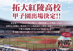 拓大紅陵高校、甲子園出場